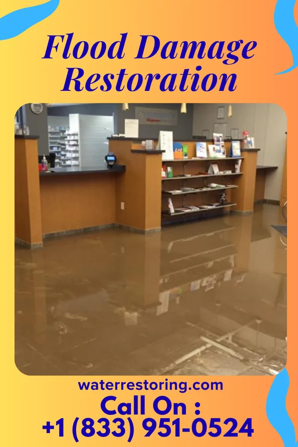 Flood Damage Restoration in Laurel Hill, FL