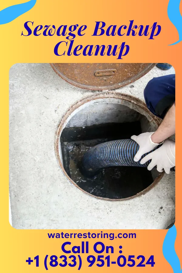 Sewage Backup Cleanup in Laurel Hill, FL