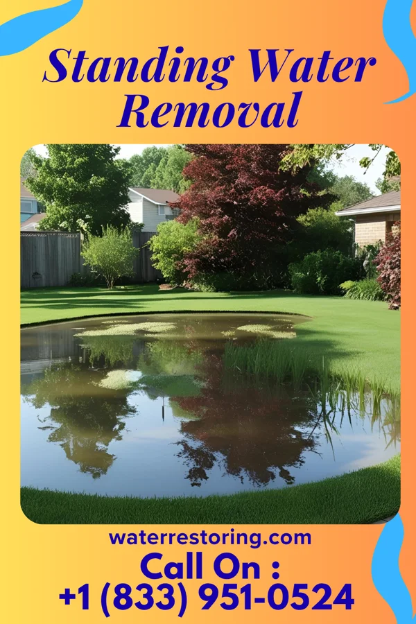 Standing Water Removal in Laurel Hill, FL